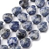 Natural Blue Spot Jasper Beads Strands G-P570-E19-02-2