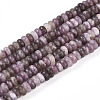 Natural Lepidolite/Purple Mica Stone Beads Strands G-T140-77-4