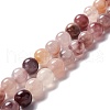 Natural Gemstone Beads Strands G-O029-06C-1