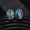 304 Stainless Steel Natural Paua Shell Stud Earrings EJEW-Z103-13G-2