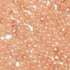 8/0 Glass Seed Beads SEED-Z001-C-E10-3