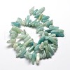 Natural Amazonite Chip Beads Strands X-G-E271-19-2