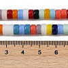Handmade Lampwork Beads Strands LAMP-S070-10-4