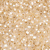 Glass Seed Beads SEED-N007-01I-3