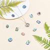 Natural Abalone Shell/Paua Shell Cabochons SSHEL-FH0001-04-4