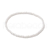 Rond Shell Pearl Beaded Stretch Bracelets for Women BJEW-JB11038-1