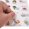 PET Tags Picture Stickers AJEW-R098-01D-3