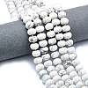 Natural Howlite Beads Strands G-P573-B02-01-1