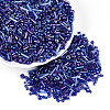 Electroplate Glass Seed Beads GLAA-SZC0007-01B-3
