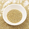 MIYUKI Delica Beads SEED-J020-DB0034-2