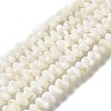 Natural Freshwater Shell Beads Strands BSHE-E026-17-2