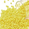Cylinder Seed Beads SEED-H001-H17-1