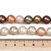 Faceted Round Shell Pearl Beads Strands BSHE-XCP0001-52-5