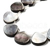 Natural Black Lip Shell Beads Strands BSHE-D300-08-3