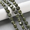 Natural Serpentine/Green Lace Stone Beads Strands G-M420-D18-01-1
