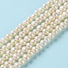 Natural Cultured Freshwater Pearl Beads Strands PEAR-E018-63-2