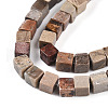 Natural Aqua Terra Jasper Beads Strands G-T140-43B-3