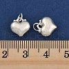 Fine Silver Charms with Jump Rings STER-P069-01A-S-3