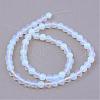 Opalite Beads Strands G-Q462-12mm-31-2