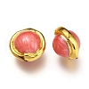 Natural Freshwater Shell Beads BSHE-Z001-01C-2