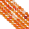 Olycraft 2 Strands Natural Red Agate Beads Strands G-OC0005-66-1