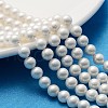 Polished Shell Pearl Round Beads Strands X-SP6MM701-1