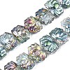 Electroplate Glass Beads Strand EGLA-S188-24-C02-1