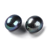 Dyed Natural Cultured Freshwater Pearl Beads PEAR-E020-11-2