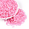 Glass Bugle Beads SEED-N007-28J-1