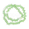 Electroplate Glass Beads Strands EGLA-C005-02A-AB01-2