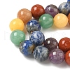 Chakra Natural Mixed Gemstone Beads Strands G-P574-A03-10mm-4