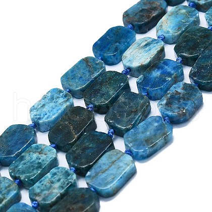 Natural Apatite Beads Strands G-K245-J20-01-1