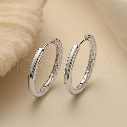 Brass Hoop Earrings PW-WGB5DFF-02-1