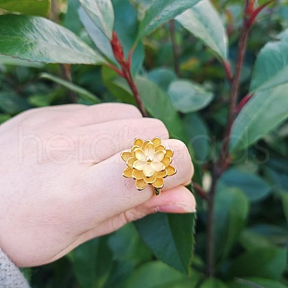 Ethnic Retro Style Flower Alloy Cuff Rings FS-WG9B7B1-02-1