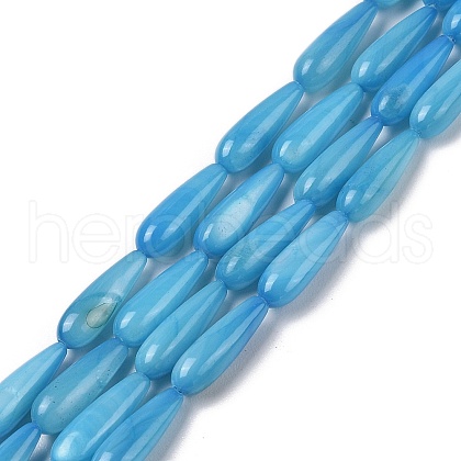 Natural Freshwater Shell Beads Strands SHEL-A004-03C-1