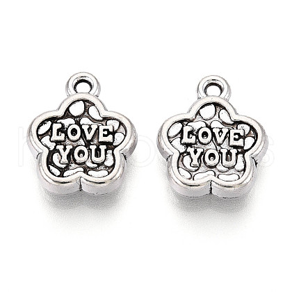 Tibetan Style Alloy Charms TIBE-N013-19AS-1