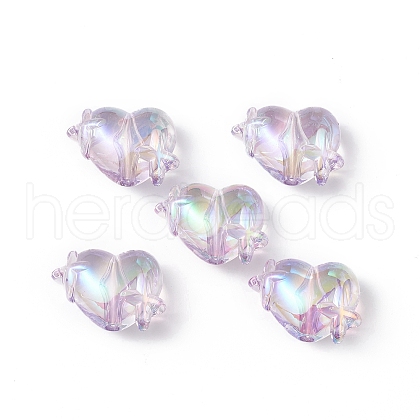 Transparent Acrylic Beads OACR-B005-01F-1