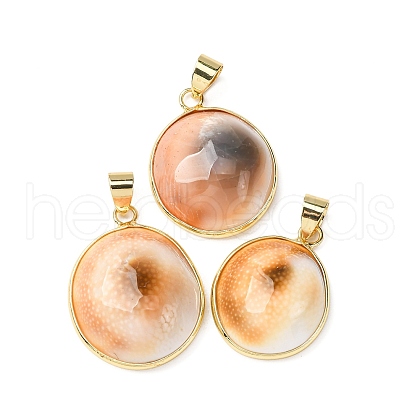 Brass Pave Natural Shell Pendants KK-H002-01G-1