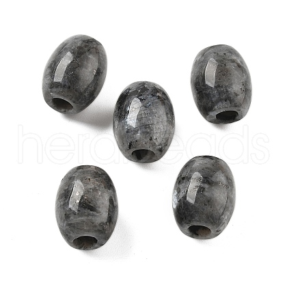 Natural Larvikite European Beads G-F580-A11-01-1