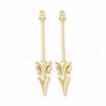 Rack Plating Alloy Big Pendants PALLOY-E025-24G-1