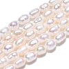 Natural Cultured Freshwater Pearl Beads Strands PEAR-N012-03I-4