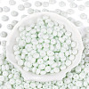 Opaque Baking Paint Glass Seed Beads SEED-N008-03A-08-2