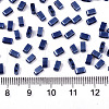 2-Hole Glass Seed Beads SEED-S031-M-SH128-2
