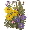 Pressed Dried Flowers DIY-YWC0001-97-1