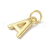 Rack Plating Brass Charms KK-P245-06G-A-2