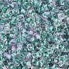 Transparent Inside Colours Glass Seed Beads X1-SEED-A032-04H-3