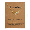 Alloy Crystal Rhinestone Constellation Pendant Necklaces for Women WG4ACA0-11-1