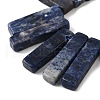 Natural Sodalite Beads Strands G-S386-D19-4
