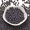 Opaque Colours Glass Seed Beads SEED-C001-02B-08-2