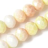 Electroplate Handmade Lampwork Beads Strands LAMP-S068-11G-1